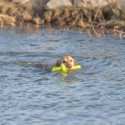 Trixie Aqua Toy MOT®-Aqua