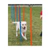 Trixie Agility Slalom