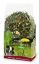 JR Farm Grainless Herbs Meerschweinchen 400g