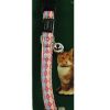 Hunter Katzenhalsband Krazy Scotty