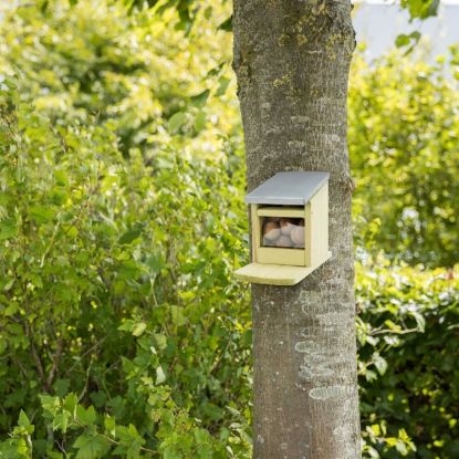 Trixie Futterstation für Eichhörnchen