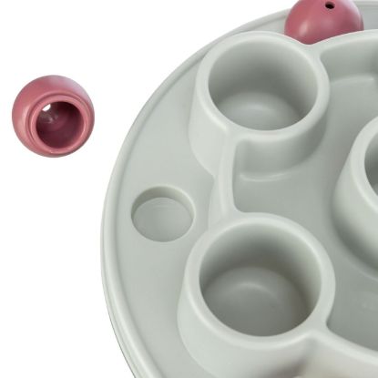 Trixie Cat Activity Pentagon