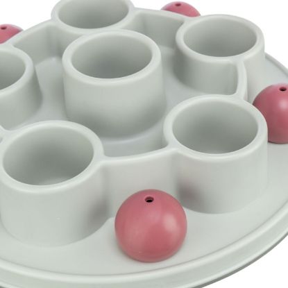 Trixie Cat Activity Pentagon