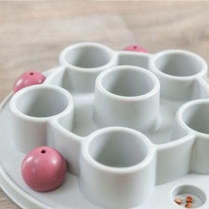 Trixie Cat Activity Pentagon