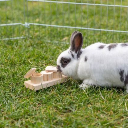 Trixie Snack Cups für Vögel und Kleintiere