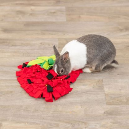 Trixie Schnüffelteppich Erdbeere für Kleintiere