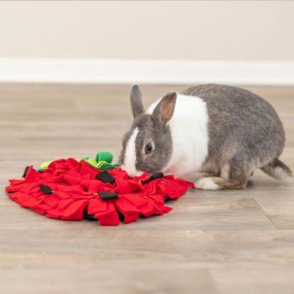 Trixie Schnüffelteppich Erdbeere für Kleintiere