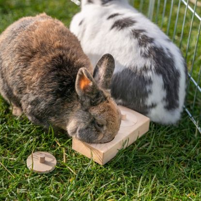 Trixie Snack Box für Vögel und Kleintiere