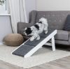 Trixie Rampe mit ausklappbaren Stufen