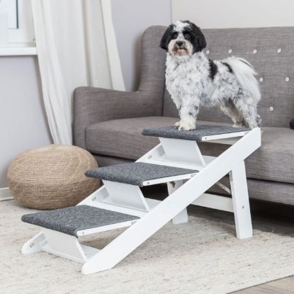 Trixie Rampe mit ausklappbaren Stufen