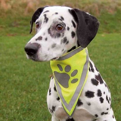 Trixie Sicherheitshalstuch - L-XL