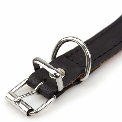 Karlie Rondo Windhund-Halsband - Schwarz - 50cm/60mm