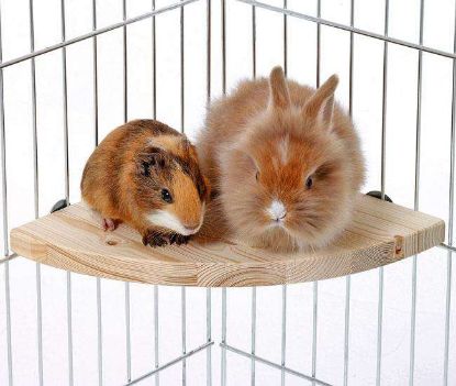 Karlie Holz-Sitzecke - Groß