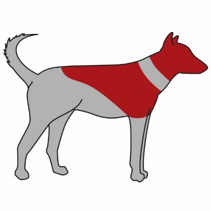 Trixie Schutzkragen, aufblasbar - S-M