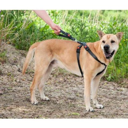 Karlie Flamingo Auto-Sicherheitsgeschirr Kunstleder - XS