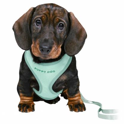 Trixie Junior Welpen-Softgeschirr mit Leine - mint