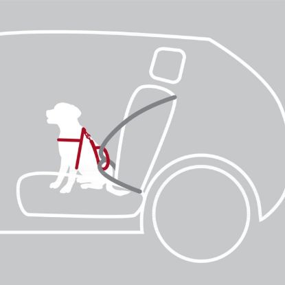 Trixie Auto-Sicherheitsgeschirr Dog Protect - M: 50-65 cm