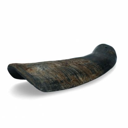 Viking half Horn - M