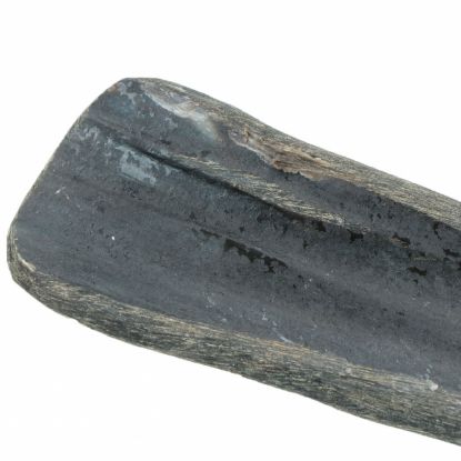 Viking half Horn - L