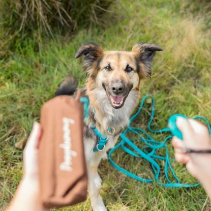 Trixie Preydummy - Canvas, Braun - 7 x 18 cm