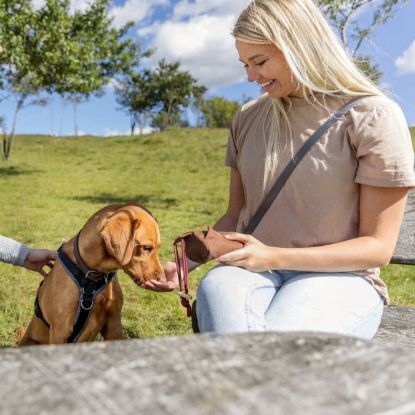 Trixie Preydummy - Canvas, Braun - 8 x 20 cm