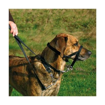 Trixie Top Trainer Ausbildungsgeschirr - max. 22 cm