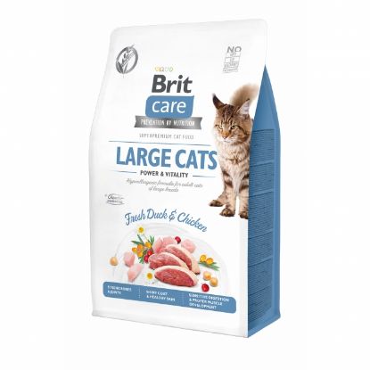 Brit Care Cat Grain-Free - Large cats - Power & Vitality - 400g