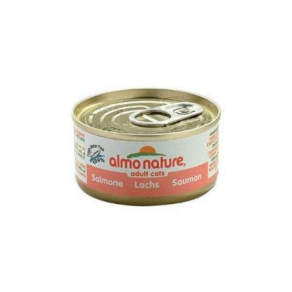 Almo Nature HFC Jelly Lachs 70g