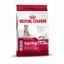 Royal Canin Size Medium Ageing 10+ - 3 kg