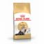Royal Canin Feline Persian - 4 kg