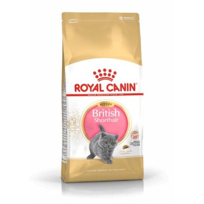 Royal Canin Feline British Shorthair Kitten - 2 kg