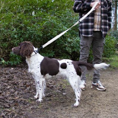 Duvoplus EXPLOR Ultimate Fit Control Halsband Fashion - antique white - XS - 30-33cm