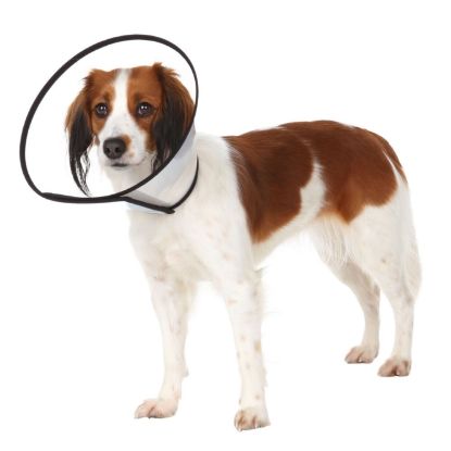 Trixie Schutzkragen mit Klettverschluss - 50–58 cm/28 cm