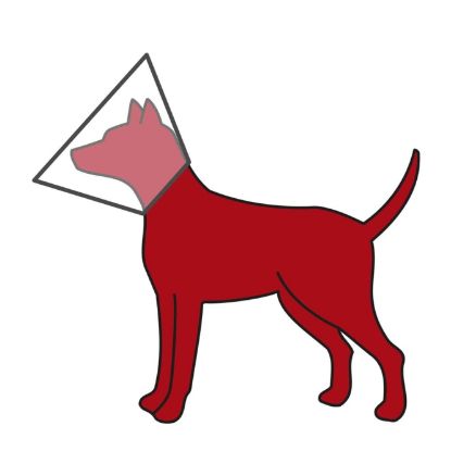 Trixie Schutzkragen aus Kunststoff - XS-S: ø 22-25 cm/10 cm