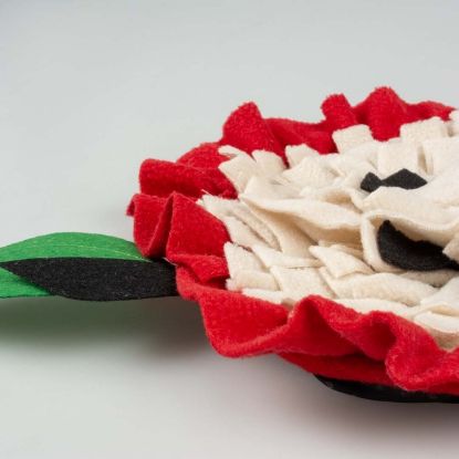 Duvoplus Schnüffelmatte Apfel