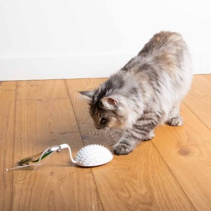 EBI Cat Toy Mouse on the move