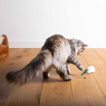 EBI Cat Toy Mouse on the move