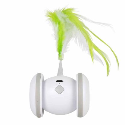 EBI Cat Toy Racing Roller