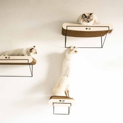 D&D gebogenes Wandregal aus Pappe David - braun/beige