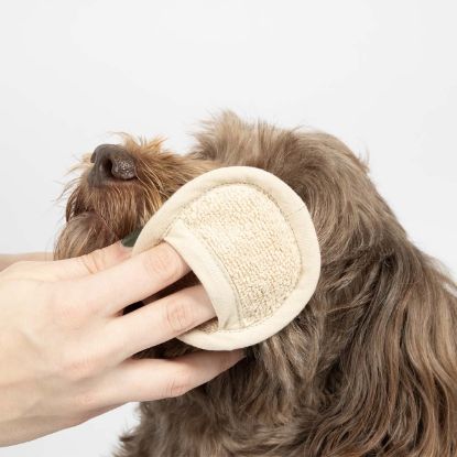 EBI Noir Japandi Pflegeset - beige