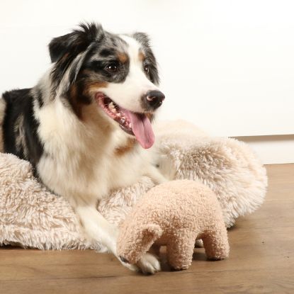 D&D Hundespielzeug Banjo Teddystoff - beige - S - 22x12x13cm