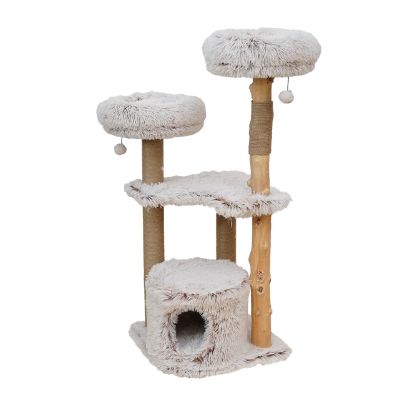 EBI Kratzbaum Marseille