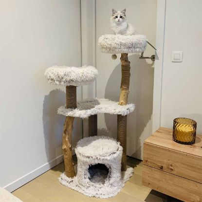 EBI Kratzbaum Marseille