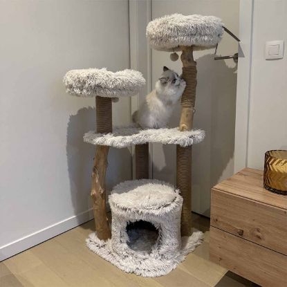 EBI Kratzbaum Marseille