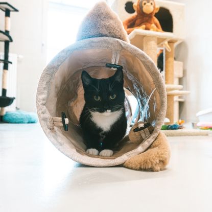 Duvoplus Spieltunnel Cozette 90 x 25cm