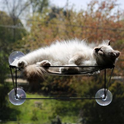 D&D Fenster-Hängematte Olivia - grau