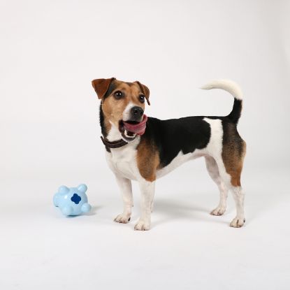 EBI Petit Welpen-Snackspielzeug Gigi - Rosa